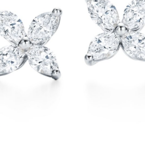 Earrings in platinum with diamonds, small.